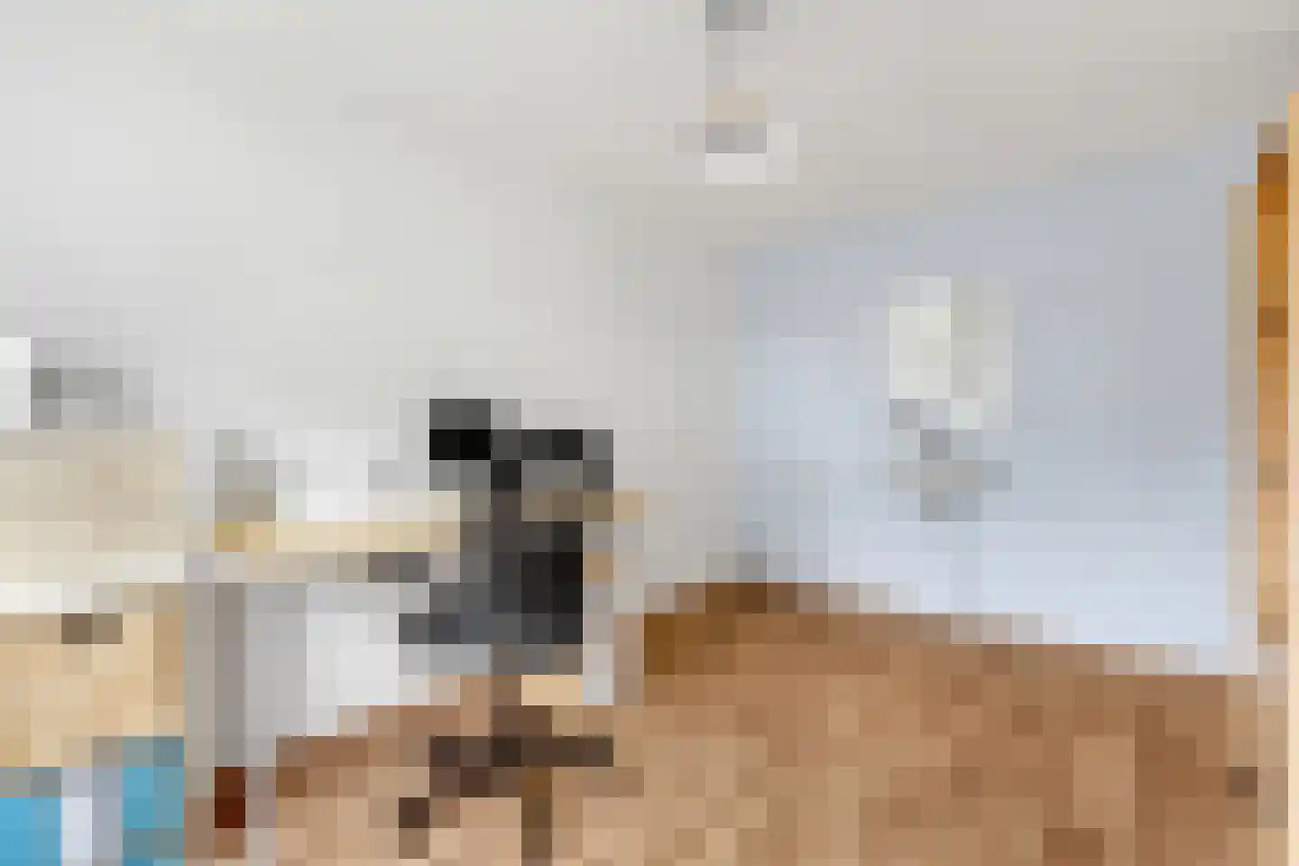 Zwanebloem 22 Maartensdijk thumbnail 20