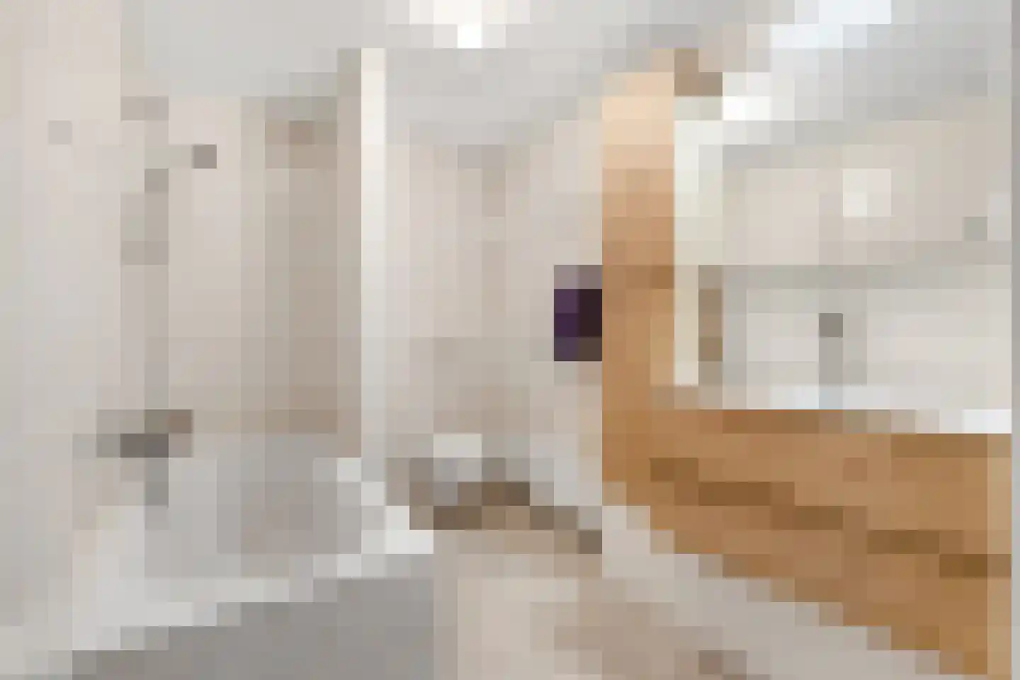 Zwanebloem 22 Maartensdijk thumbnail 22