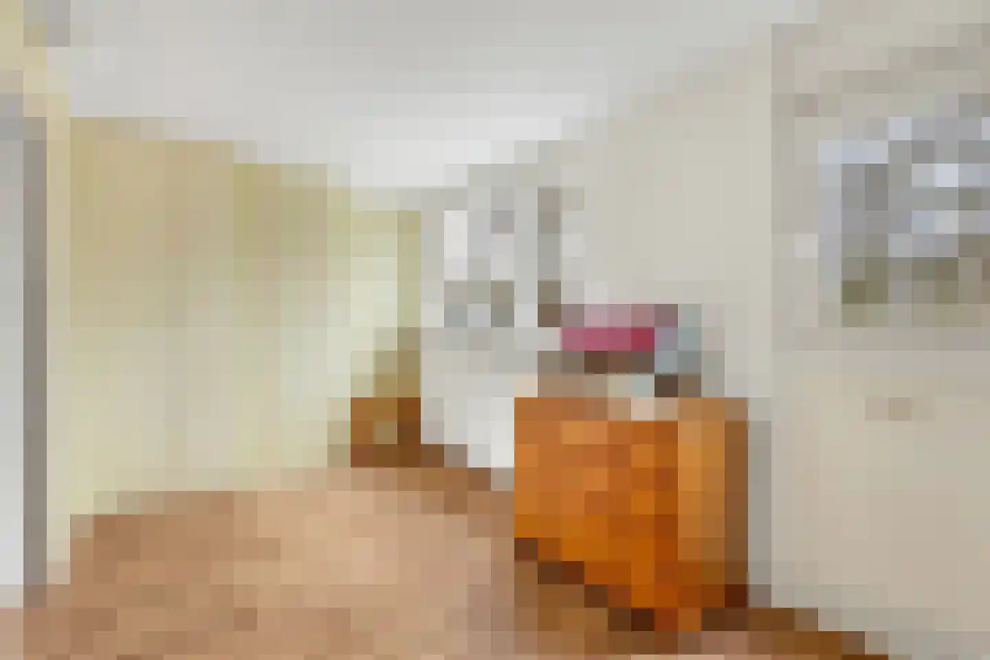 Zwanebloem 22 Maartensdijk thumbnail 26
