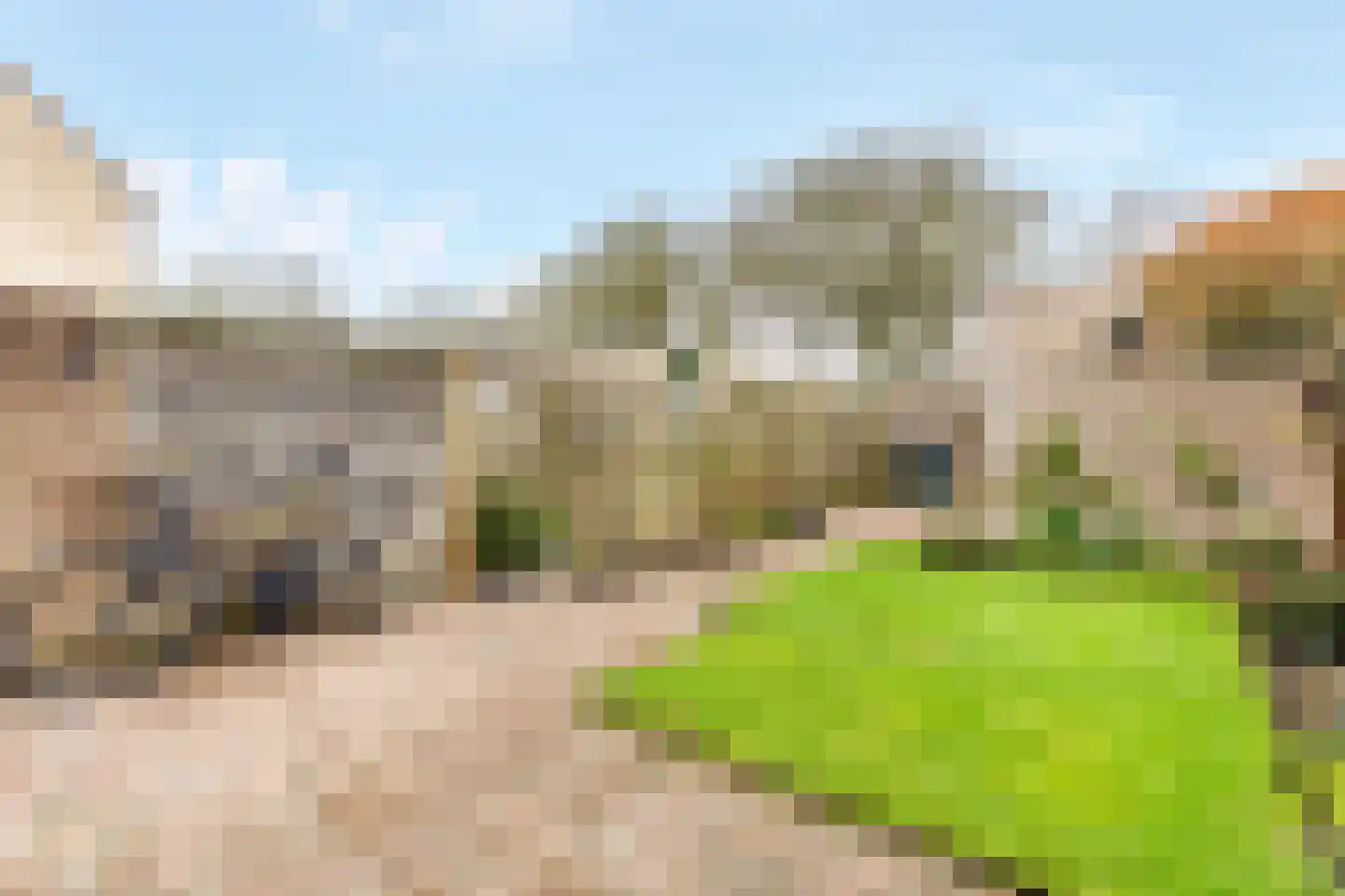 Zwanebloem 22 Maartensdijk thumbnail 30