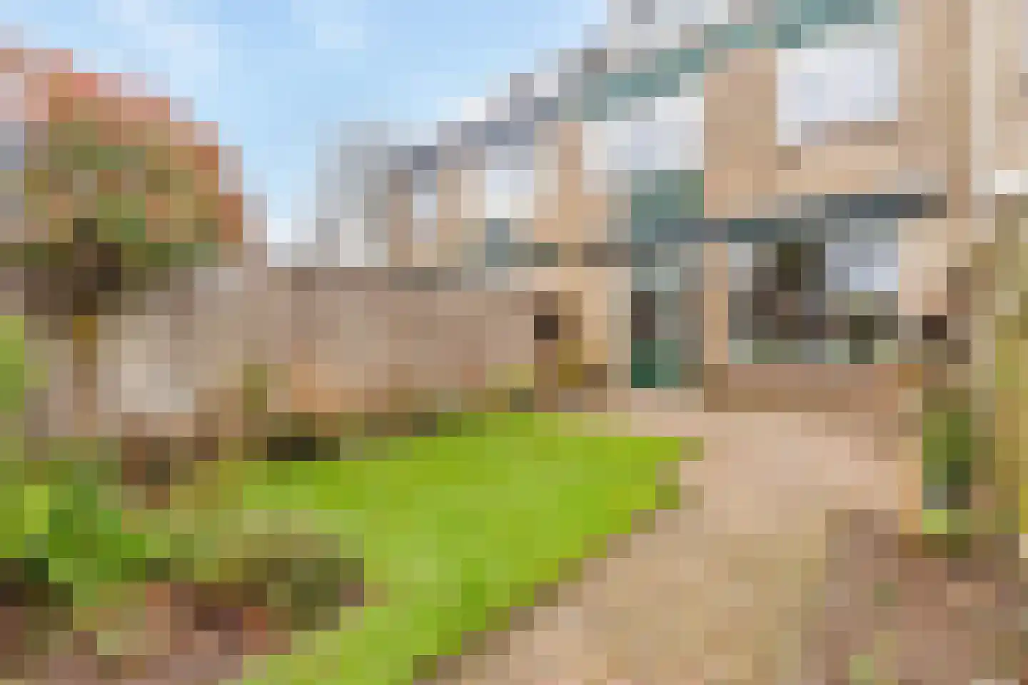 Zwanebloem 22 Maartensdijk thumbnail 31