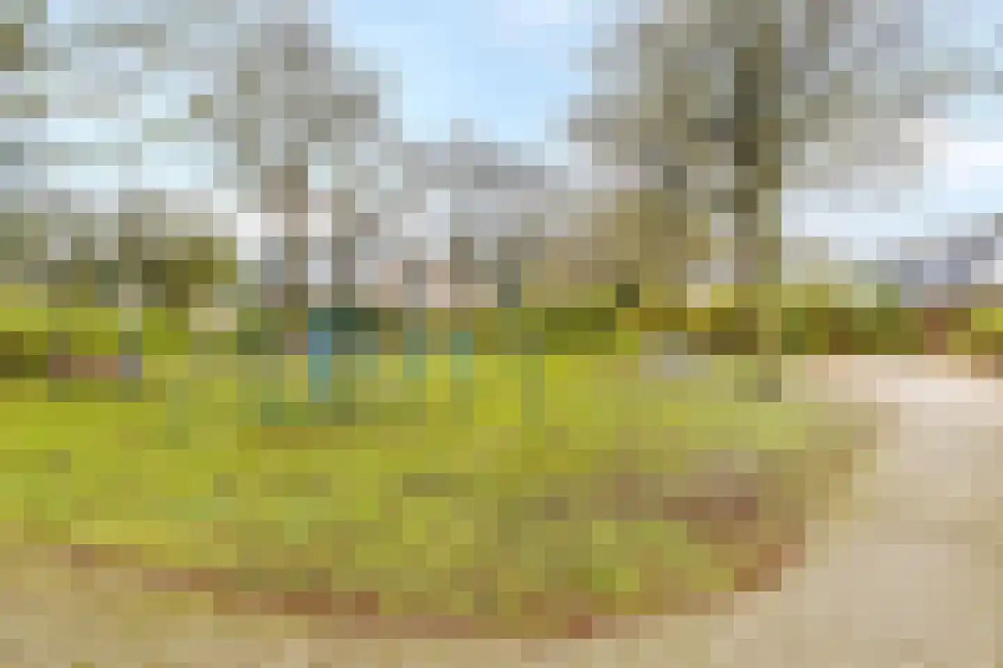 Zwanebloem 22 Maartensdijk thumbnail 33