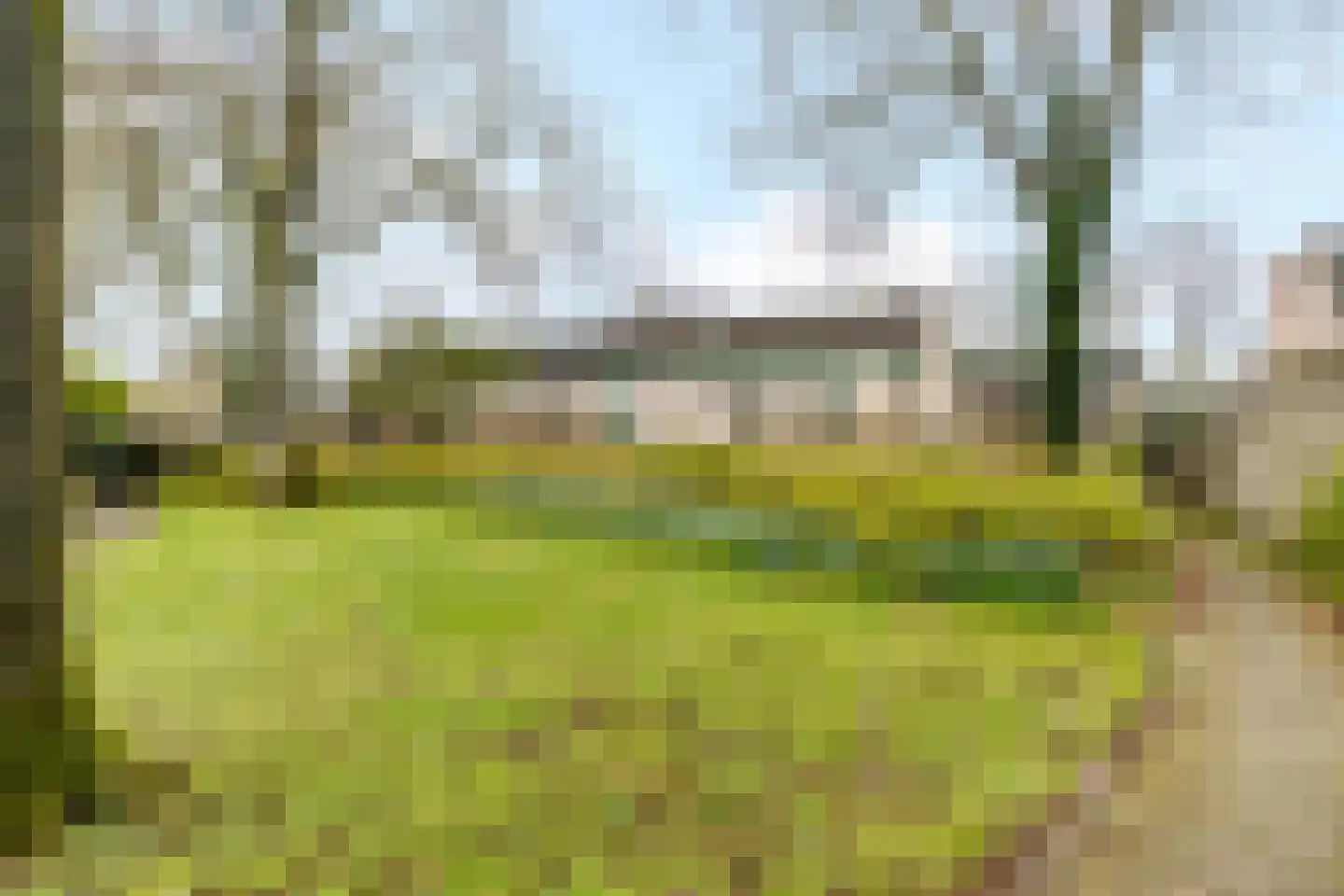Zwanebloem 22 Maartensdijk thumbnail 34