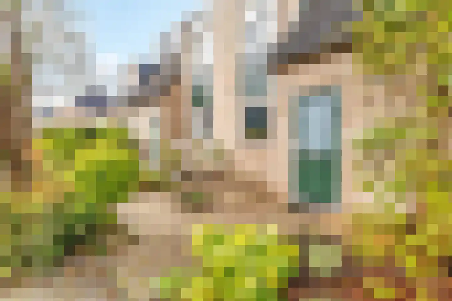 Zwanebloem 22 Maartensdijk thumbnail 4
