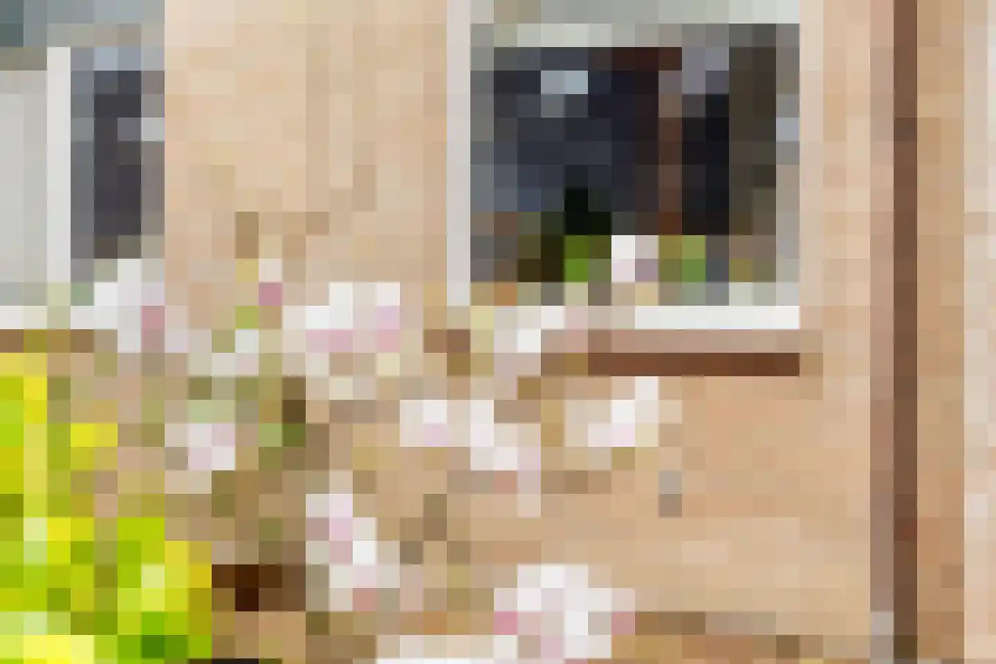 Zwanebloem 22 Maartensdijk thumbnail 5