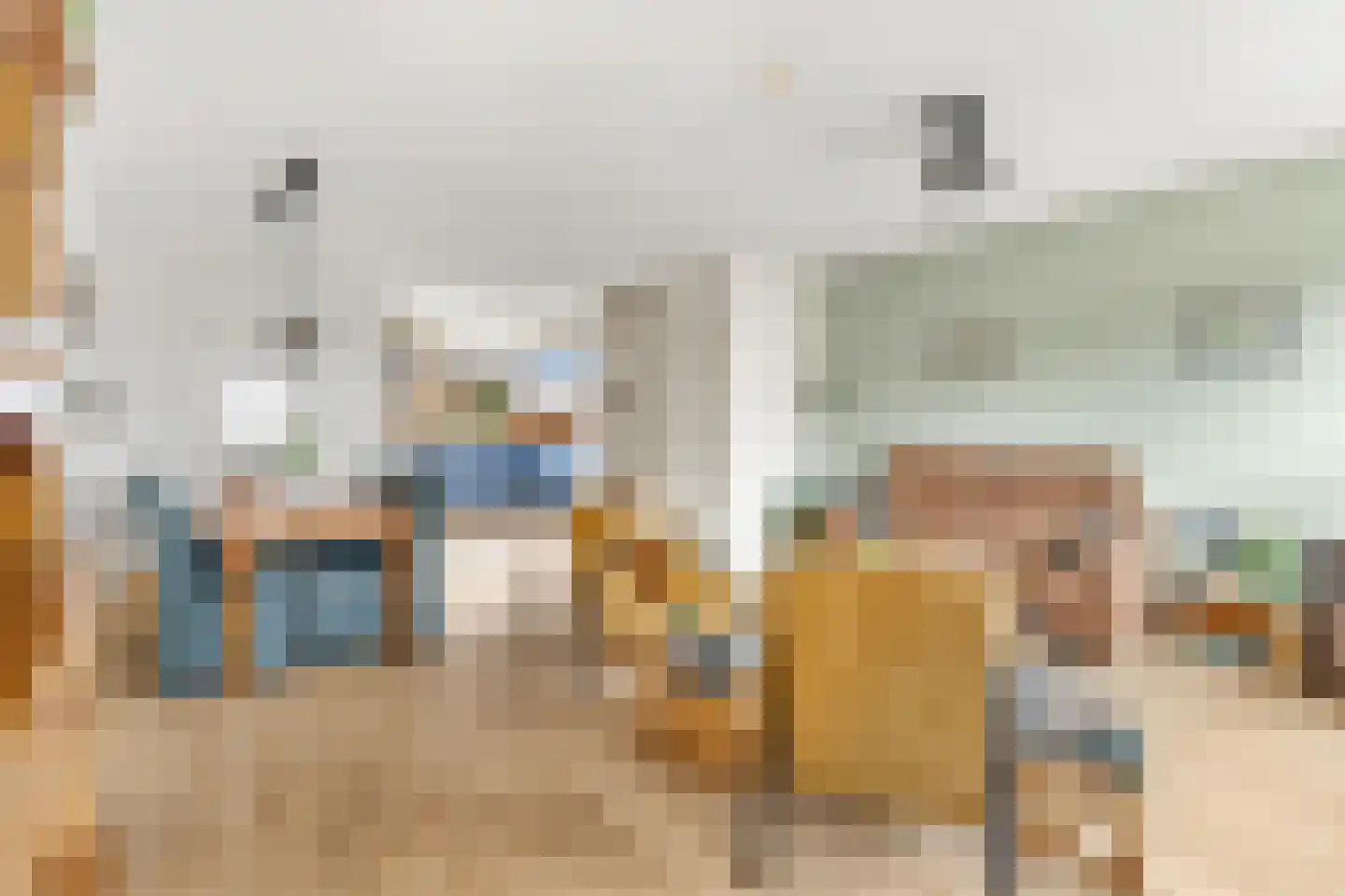 Zwanebloem 22 Maartensdijk thumbnail 8