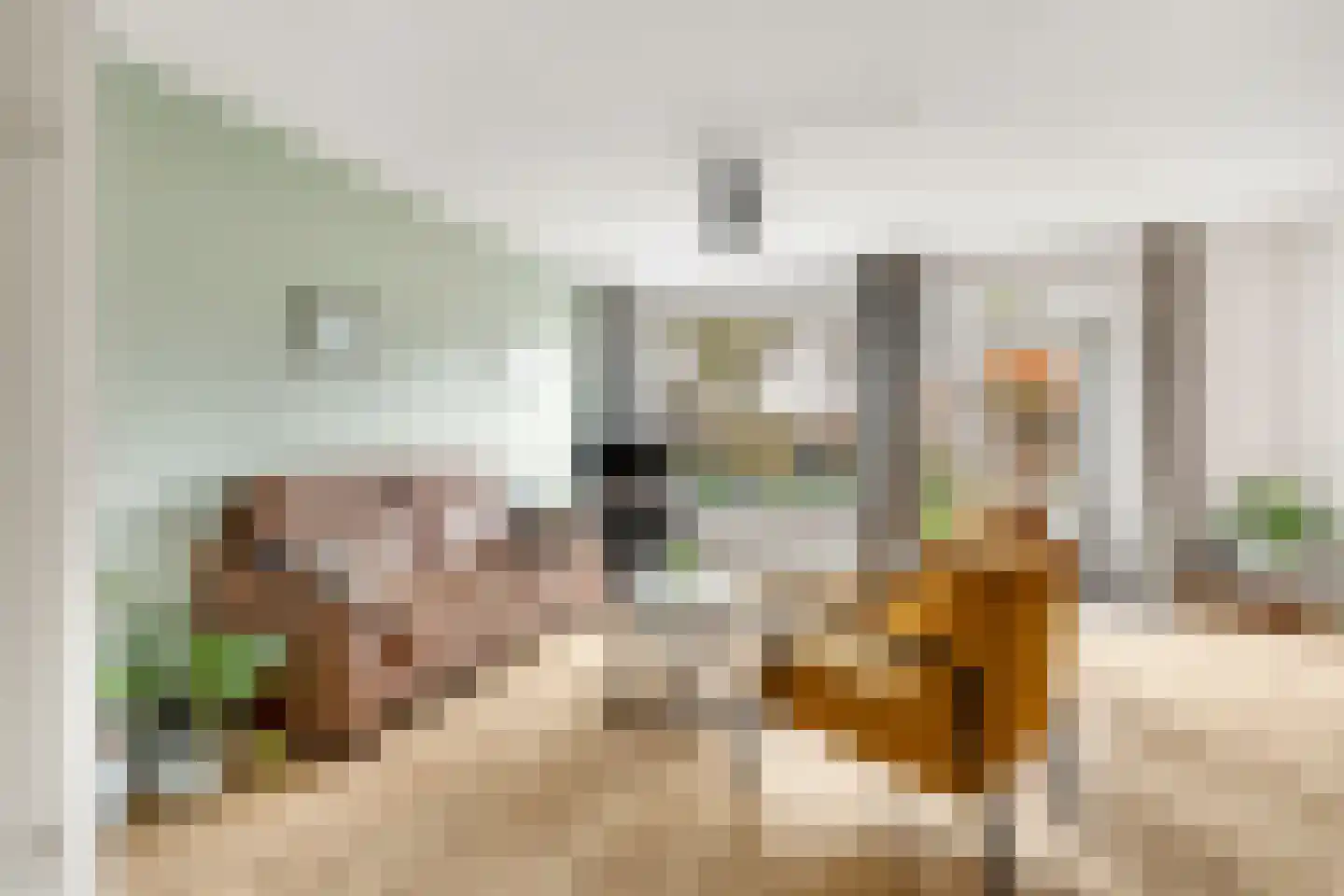 Zwanebloem 22 Maartensdijk thumbnail 9