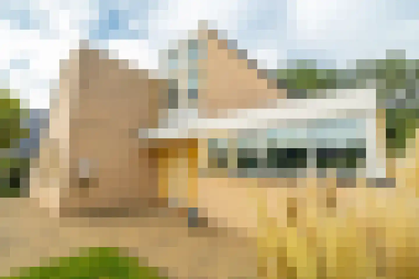 Zwanebloem 23 Eelde thumbnail 10