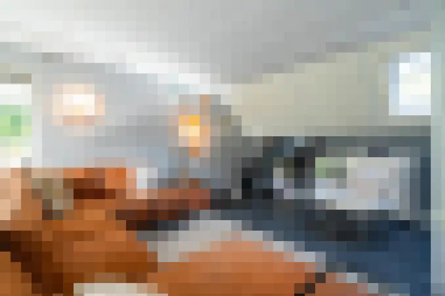 Zwanebloem 23 Eelde thumbnail 17