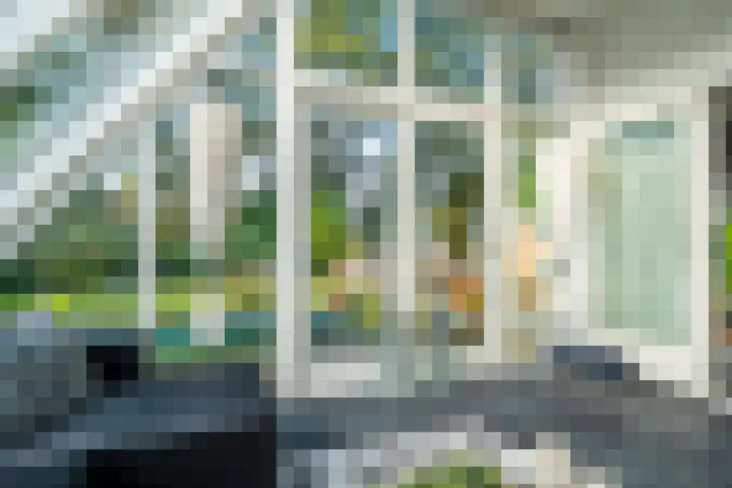 Zwanebloem 23 Eelde thumbnail 20