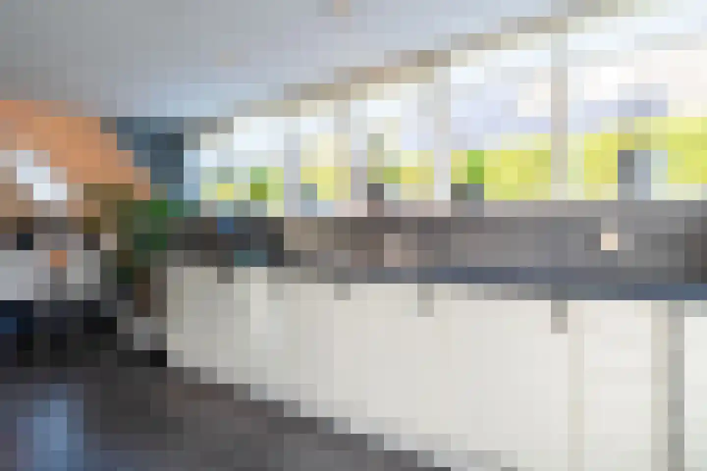 Zwanebloem 23 Eelde thumbnail 26