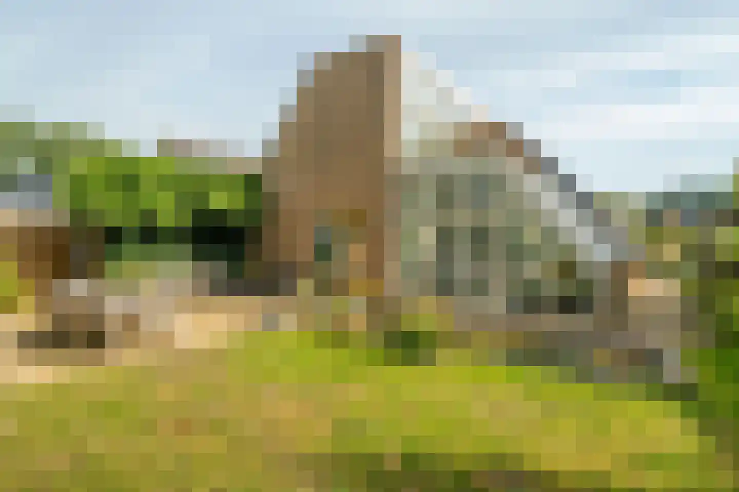Zwanebloem 23 Eelde thumbnail 53