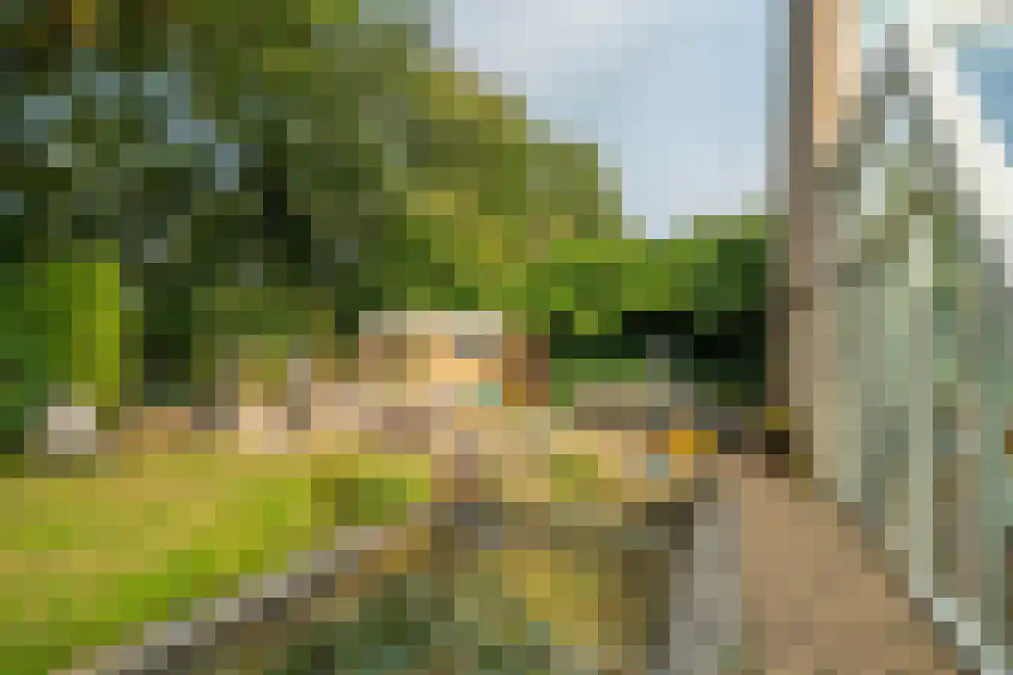 Zwanebloem 23 Eelde thumbnail 54