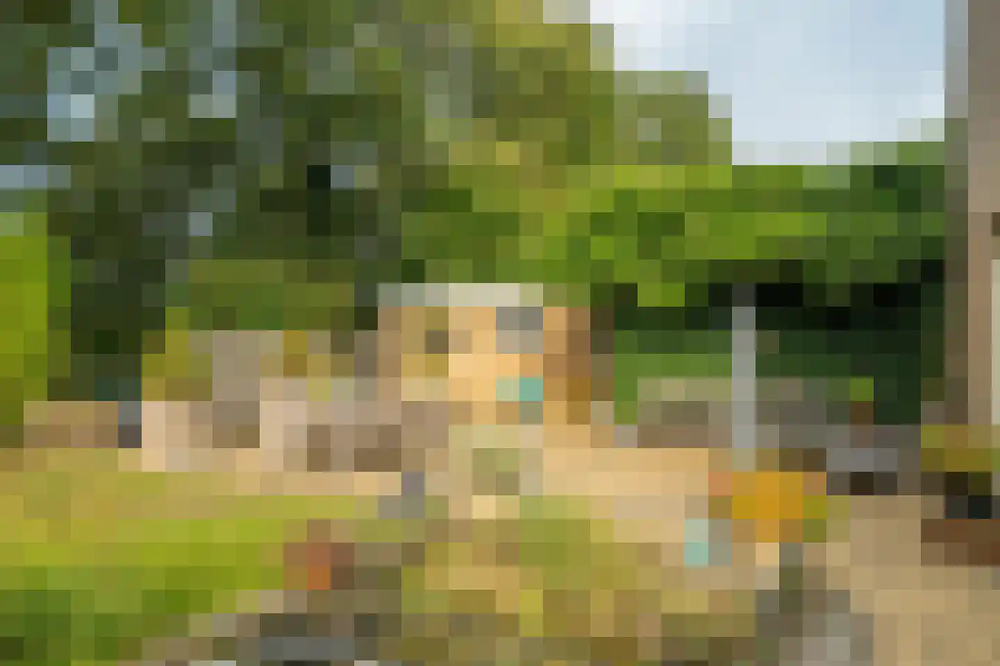 Zwanebloem 23 Eelde thumbnail 55