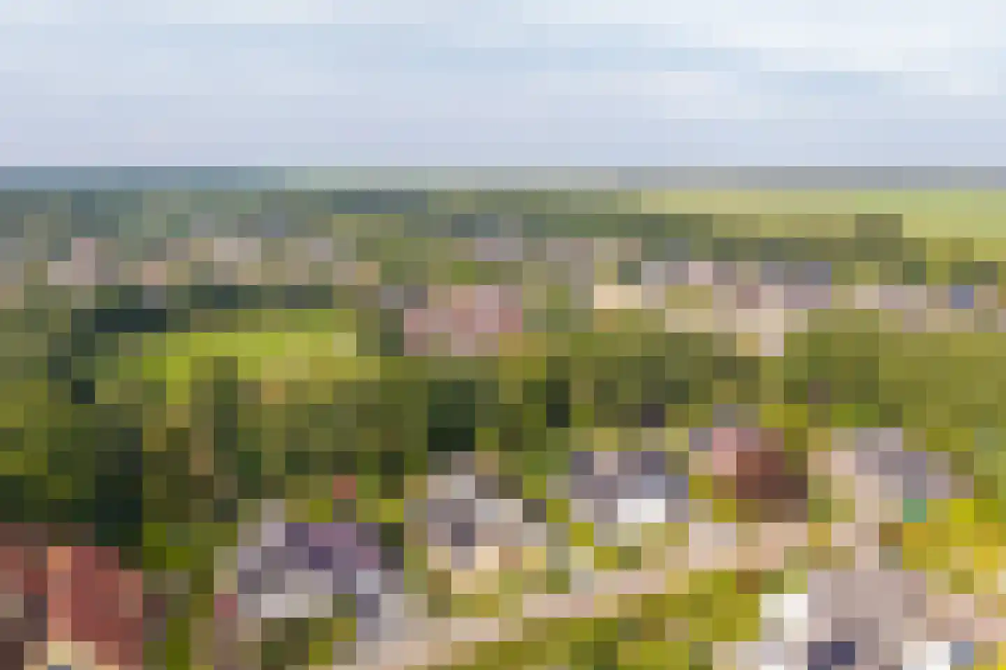 Zwanebloem 23 Eelde thumbnail 6