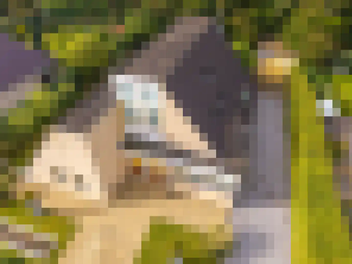 Zwanebloem 23 Eelde thumbnail 64