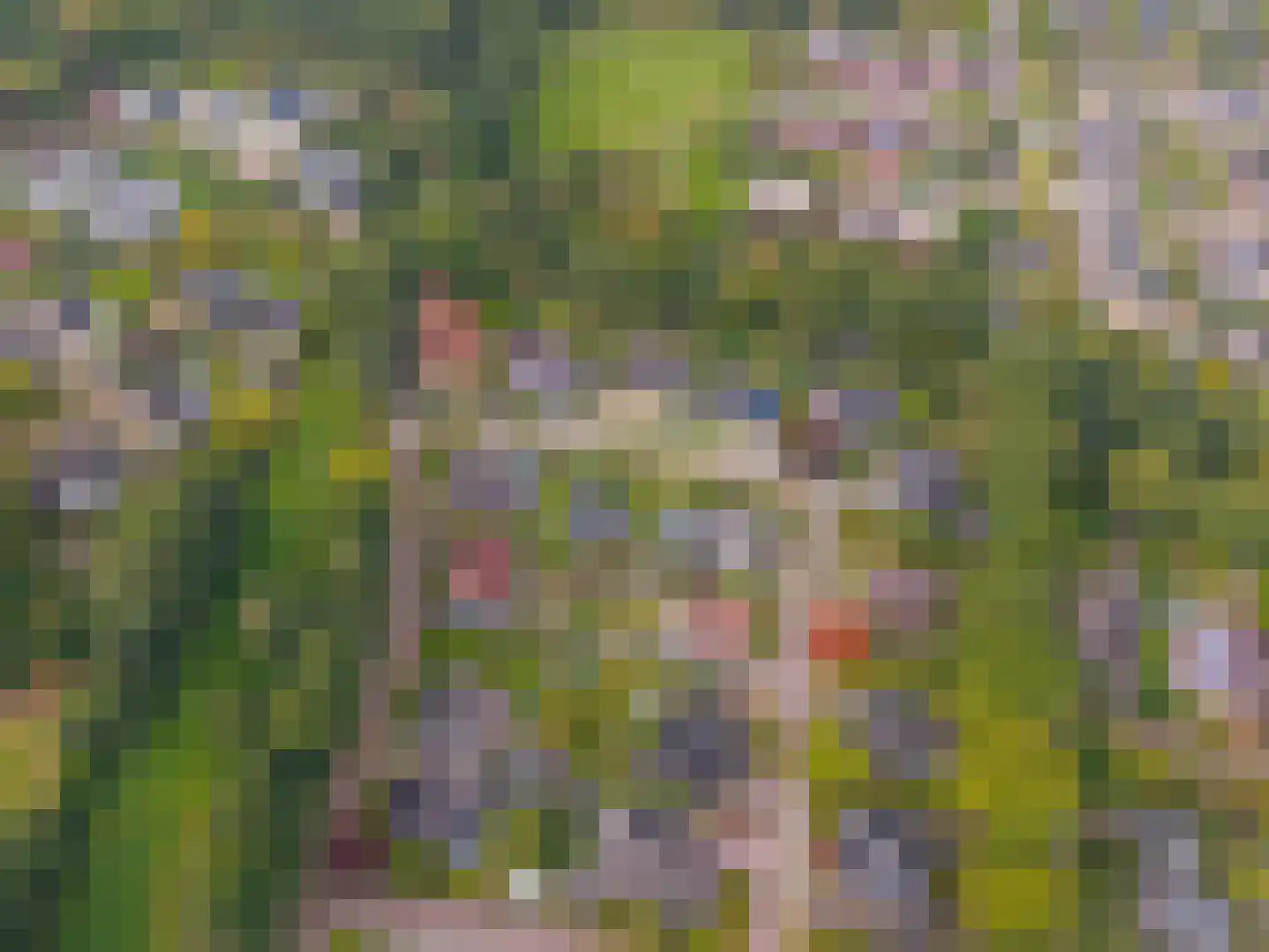 Zwanebloem 23 Eelde thumbnail 68