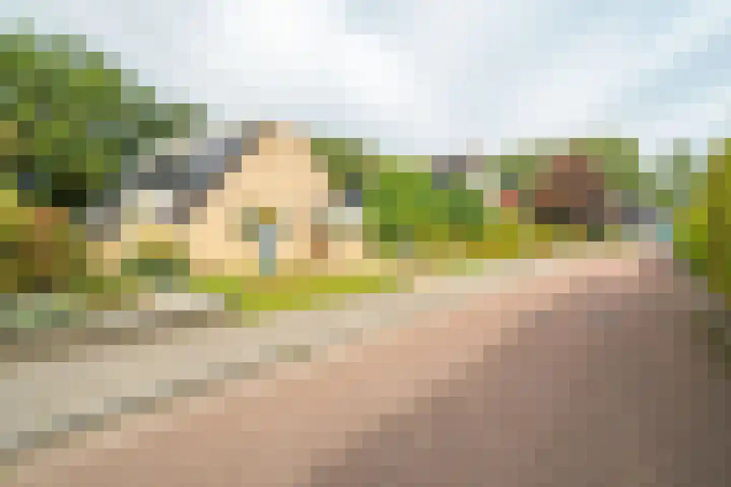 Zwanebloem 23 Eelde thumbnail 8