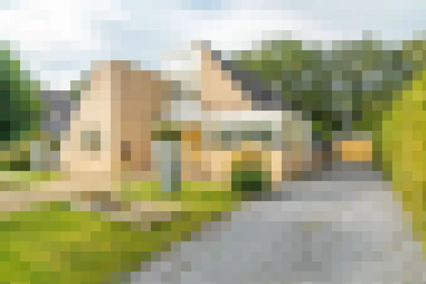 Zwanebloem 23 Eelde thumbnail 9