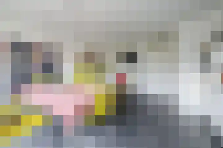 Zwanebloem 23 Tegelen thumbnail 10