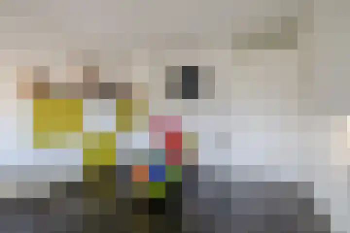 Zwanebloem 23 Tegelen thumbnail 11
