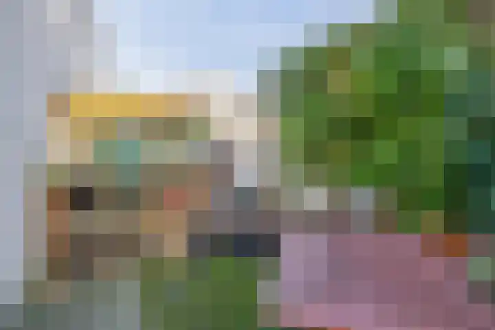 Zwanebloem 23 Tegelen thumbnail 12