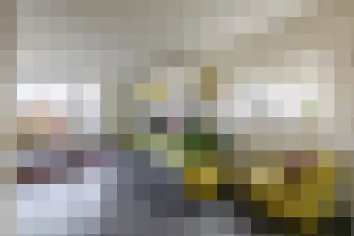 Zwanebloem 23 Tegelen thumbnail 15