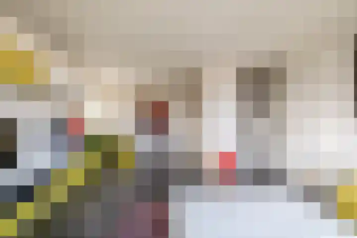 Zwanebloem 23 Tegelen thumbnail 18