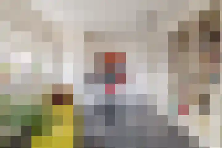 Zwanebloem 23 Tegelen thumbnail 19