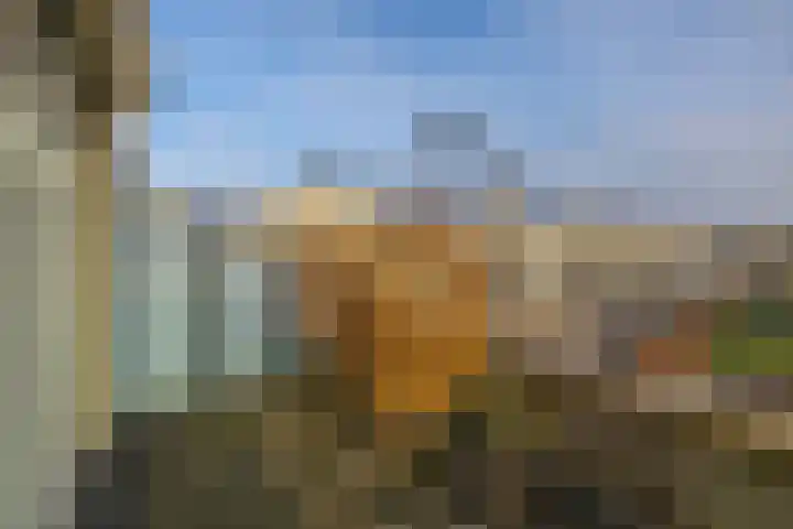 Zwanebloem 23 Tegelen thumbnail 20