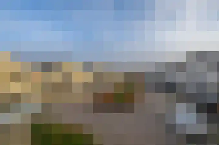 Zwanebloem 23 Tegelen thumbnail 22