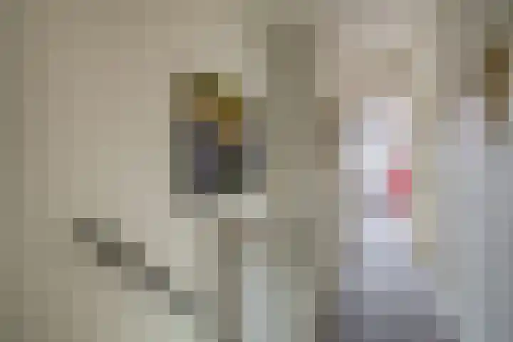 Zwanebloem 23 Tegelen thumbnail 23