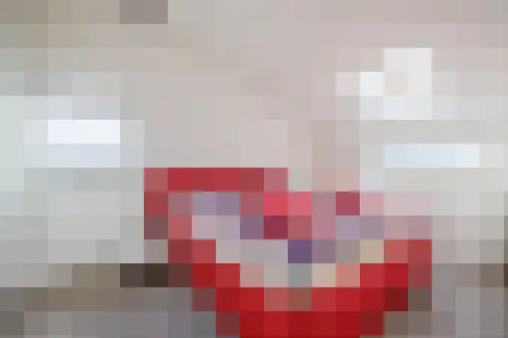 Zwanebloem 23 Tegelen thumbnail 24