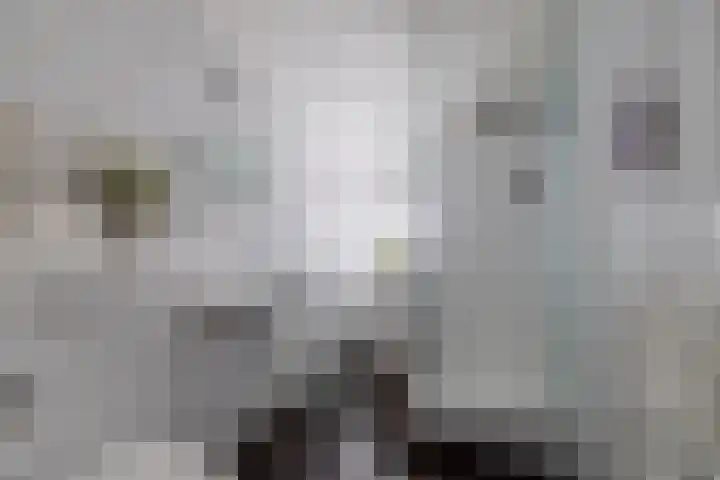 Zwanebloem 23 Tegelen thumbnail 26