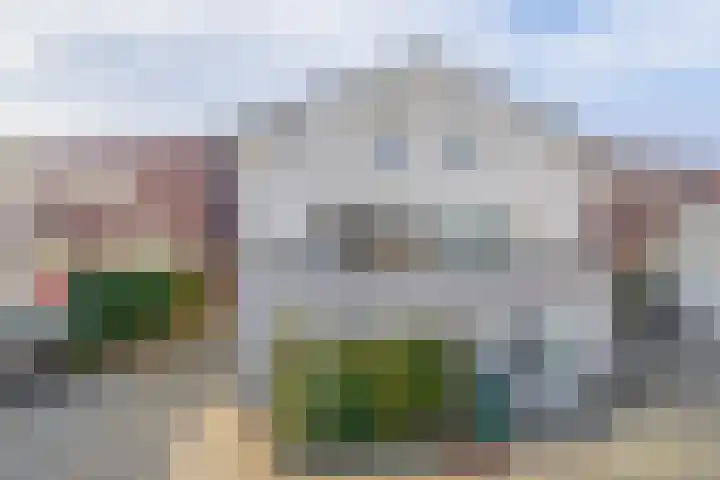 Zwanebloem 23 Tegelen thumbnail 27