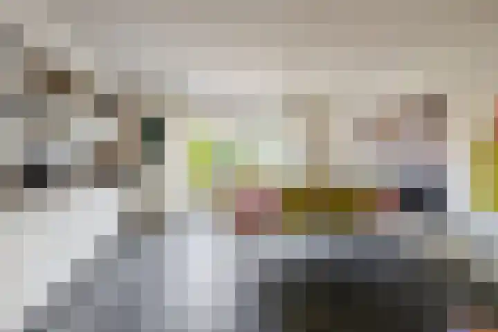 Zwanebloem 23 Tegelen thumbnail 7