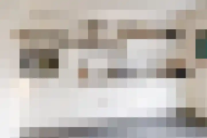 Zwanebloem 23 Tegelen thumbnail 8
