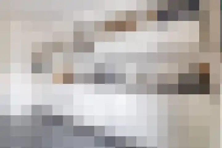 Zwanebloem 23 Tegelen thumbnail 9