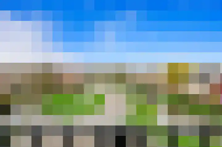 Zwanebloem 24 Den Hoorn thumbnail 27