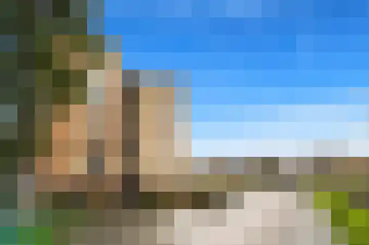Zwanebloem 24 Den Hoorn thumbnail 32