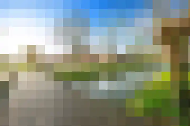 Zwanebloem 24 Den Hoorn thumbnail 34