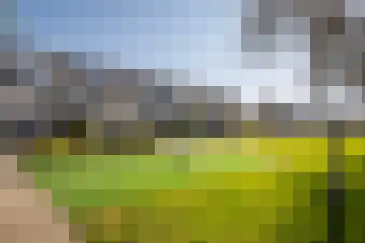 Zwanebloem 24 Den Hoorn thumbnail 36