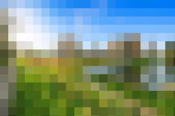 Zwanebloem 24 Den Hoorn thumbnail 5