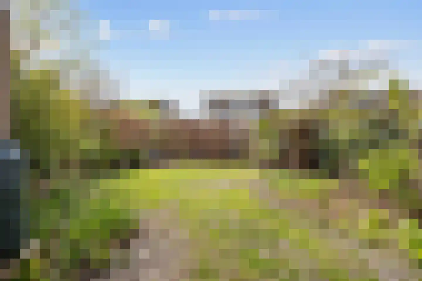 Zwanebloem 26 Zuidhorn thumbnail 45