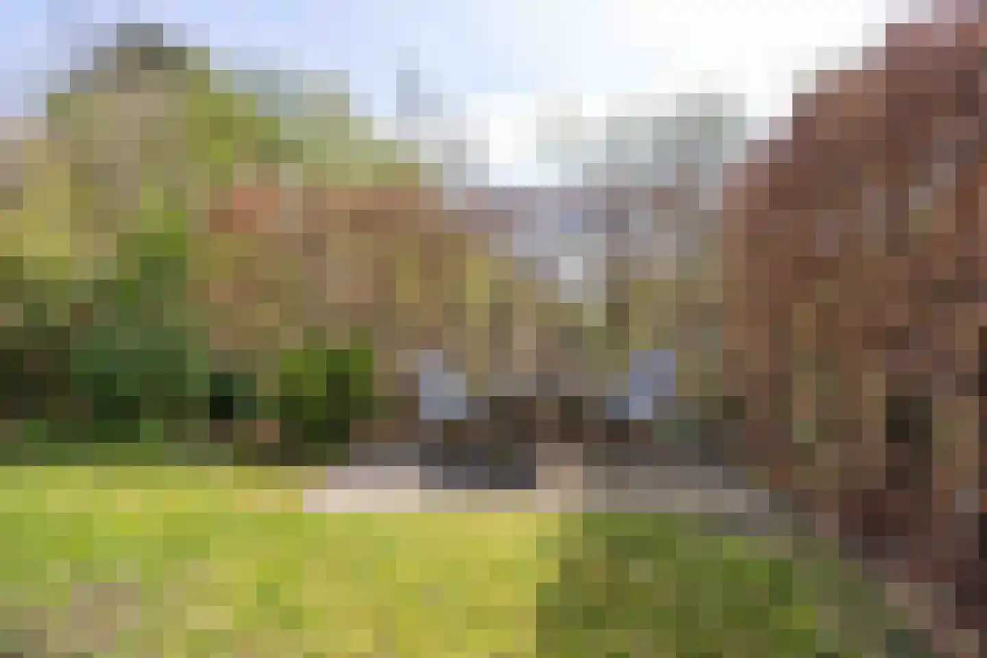 Zwanebloem 26 Zuidhorn thumbnail 46