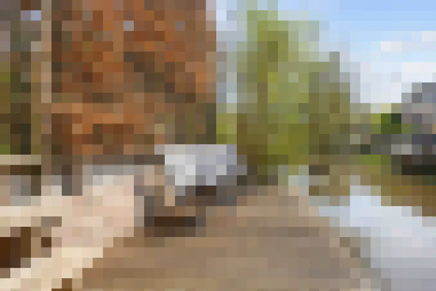 Zwanebloem 26 Zuidhorn thumbnail 49