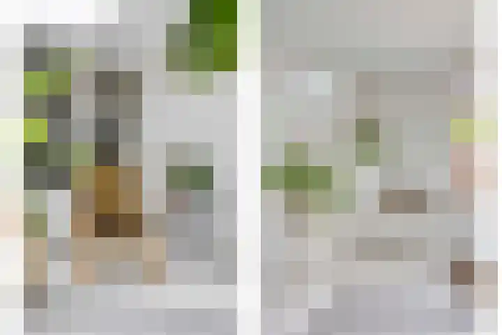 Zwanebloem 27 Zwaag thumbnail 12
