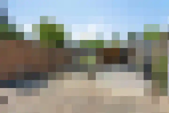 Zwanebloem 27 Zwaag thumbnail 24