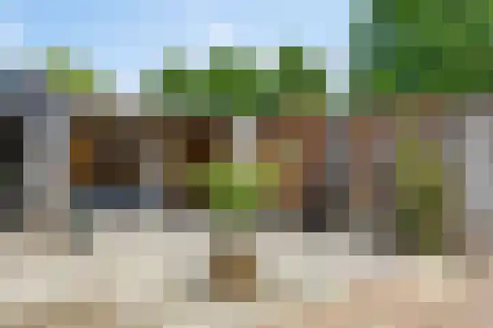 Zwanebloem 27 Zwaag thumbnail 25