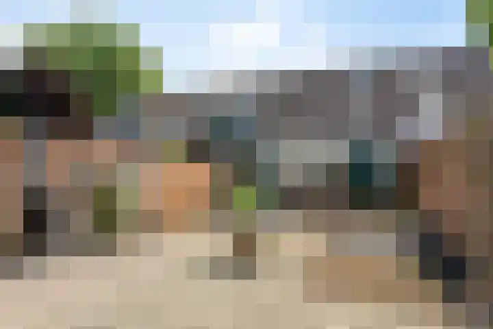 Zwanebloem 27 Zwaag thumbnail 26
